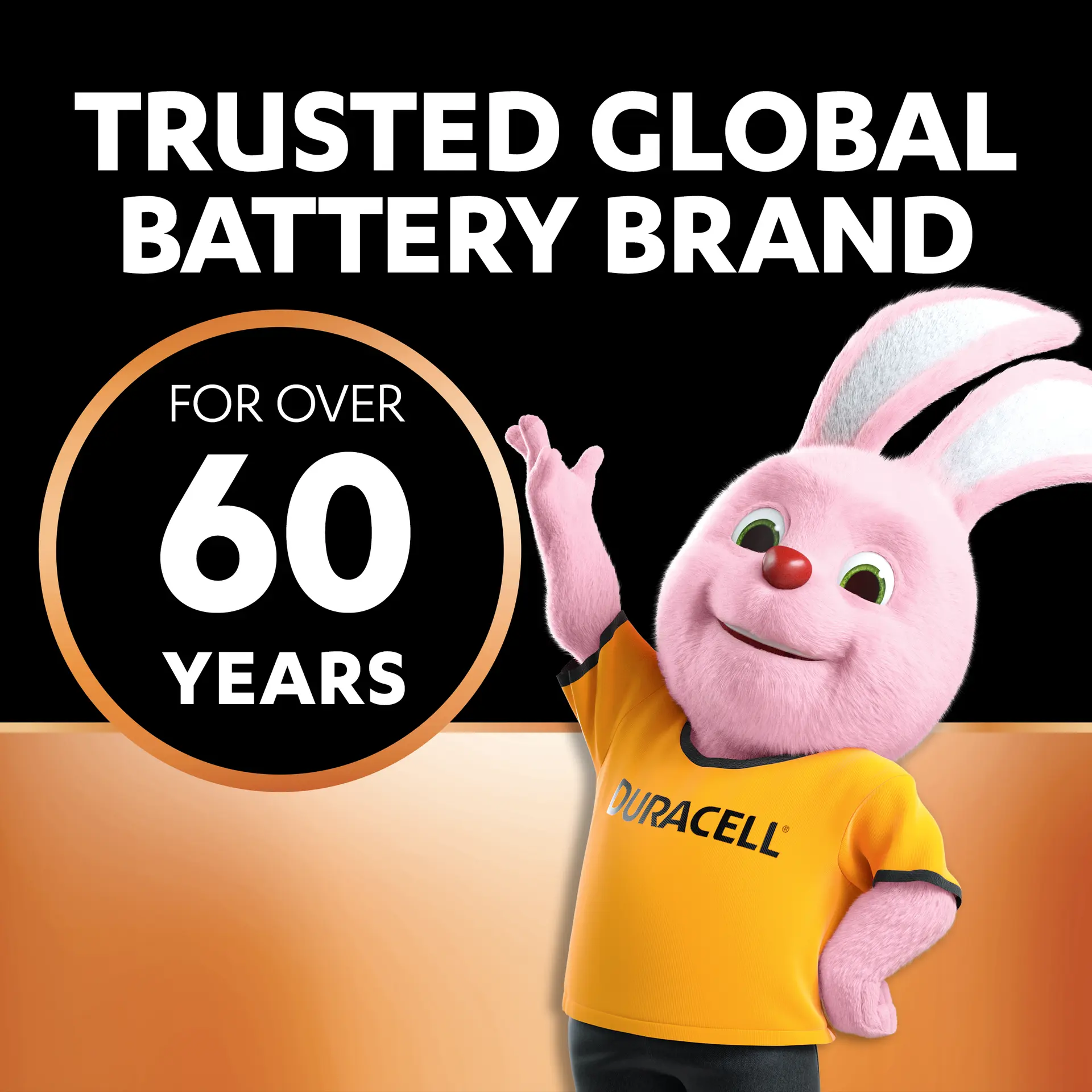 Duracell Alkaline Batteries AAA 8 Pcs - view 8